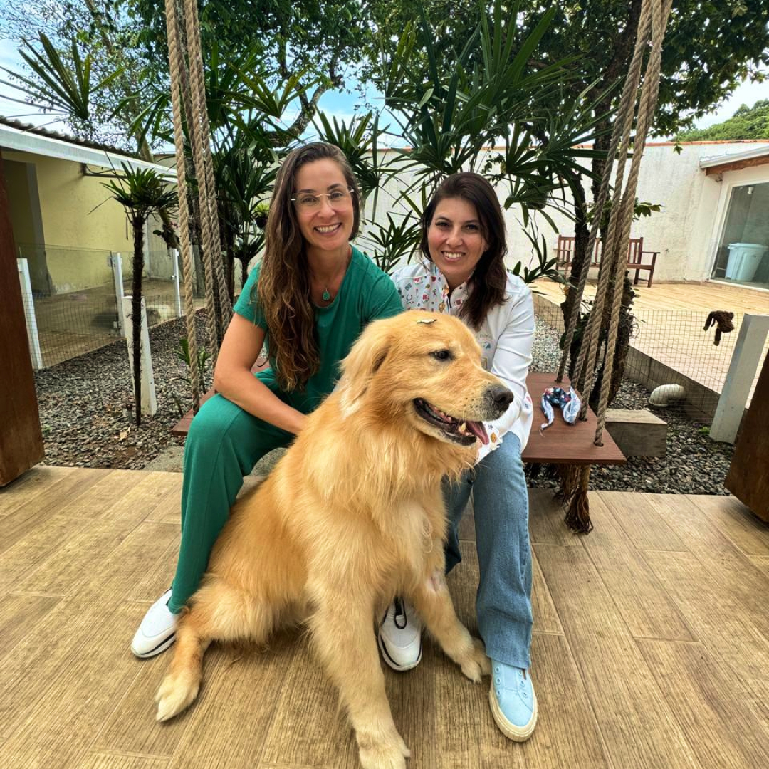 Equipe Castração & Vida cuidando de pets